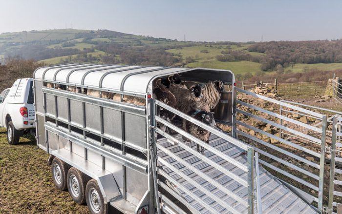 Bétailère INDESPENSION LV35146 TRI